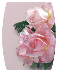 DAREC-064  Bouquet Of Roses Pink